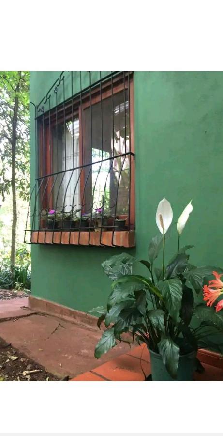 Апартаменти Jardin De Naipi Пуерто-Іґуасу Екстер'єр фото